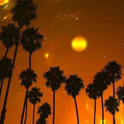 博鱼电竞下载手机版