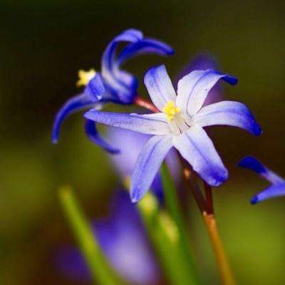 bat365在线平台官方网站