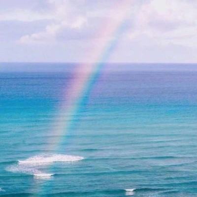 金星棋牌app下载