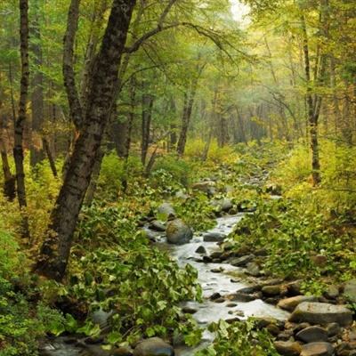 江南JN体育登录入口