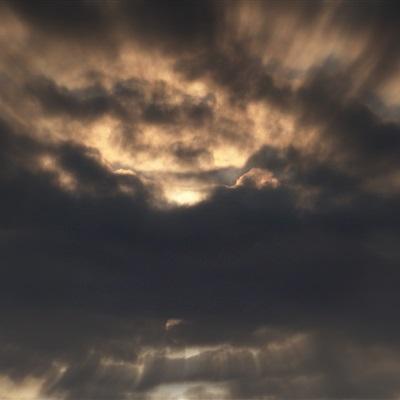 博雅体育app下载官网手机版